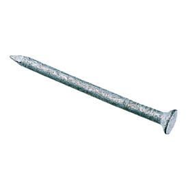 40mm Galvanized Jagged Plasterboard Nail 1kg